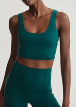 Load image into Gallery viewer, SHAPE DAYTON BRA | CONIFER VARLEY