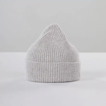 Load image into Gallery viewer, THE BEANIE | IRRIDESCENT SAMSOE SAMSOE
