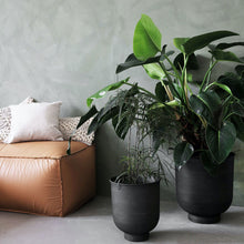 Load image into Gallery viewer, PLANTER VIG | GREY | SET OF 2 house doctor