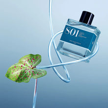 Load image into Gallery viewer, Perfume 801 100 ML Bon Parfumeur 