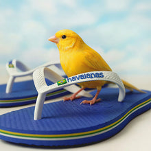 Load image into Gallery viewer, HAVAIANAS BRASIL LOGO KIDS | MARINE BLUE HAVAIANAS