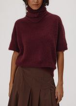 Load image into Gallery viewer, SIX AMES PAULA FIG